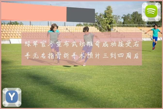 绿军官方宣布武切维奇成功接受右手无名指骨折手术预计三到四周后复查