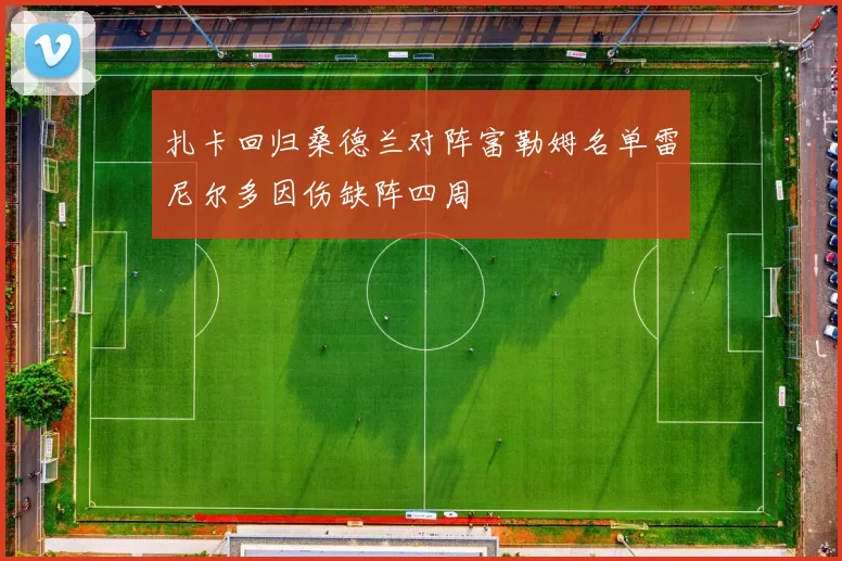 扎卡回归桑德兰对阵富勒姆名单雷尼尔多因伤缺阵四周